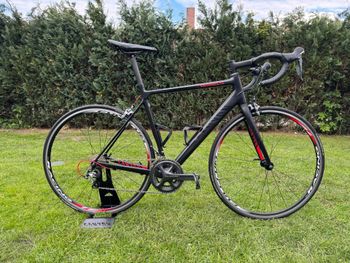 Used Canyon Endurace Shimano Ultegra 2016 Route & Gravel
