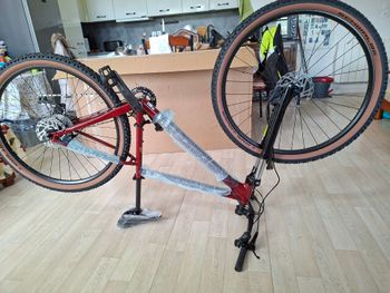 Used Focus Whistler Shimano Deore 2022 Mountainbike — image 25 of 40