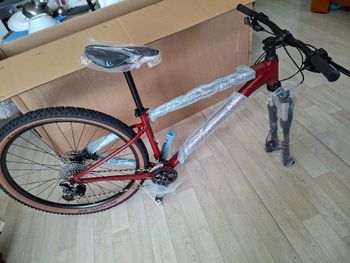 Used Focus Whistler Shimano Deore 2022 Mountainbike — image 30 of 40