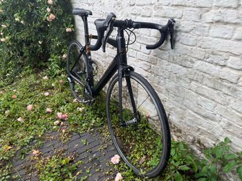 Used Eddy Merckx SanRemo76 — Shimano Ultegra 2019 2019 Road & Gravel — image 5 of 15