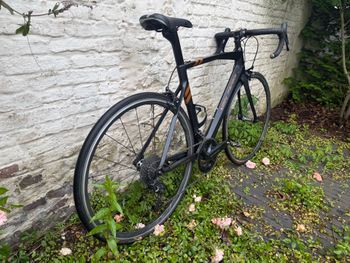 Used Eddy Merckx SanRemo76 — Shimano Ultegra 2019 2019 Road & Gravel — image 6 of 15