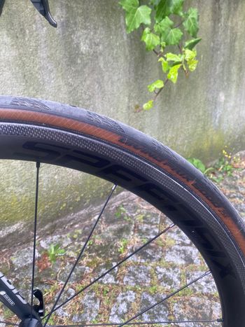 Used Giant TCR Advanced 2 2019 2019 Road & Gravel, Schwarz — image 7 of 7