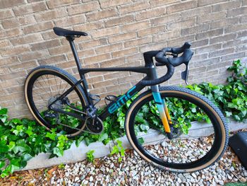 BMC, Kaius 01 TWO 2024