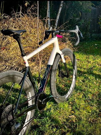 Used tavelo Tavelo Custom Frameset 2025 Road & Gravel, White — image 3 of 4