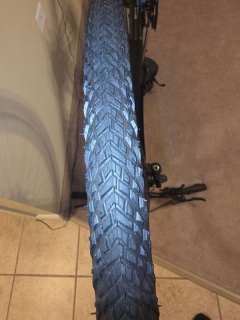 Used Giant Roam Shimano Acera 2021 Mountainbike, Light Gray — image 20 of 26
