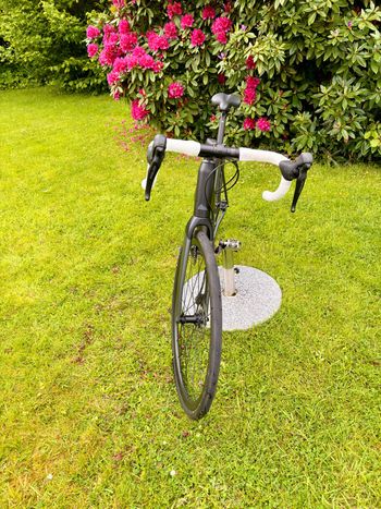Used Canyon Endurace:ON 7.0 2020 2020 Road & Gravel — image 4 of 10