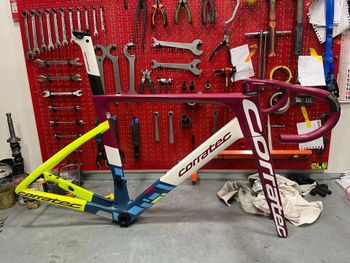 Used Corratec Corratec Evo Team Frameset 2024 Road & Gravel — image 4 of 5