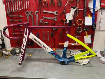 Used Corratec Corratec Evo Team Frameset 2024 Road & Gravel — image 5 of 5