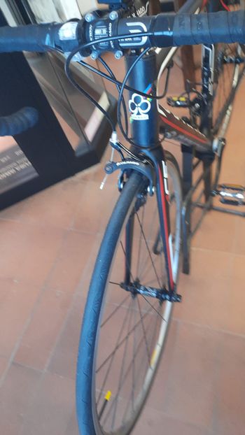Used Colnago Colnago ACE105 Carbon 2013 Road & Gravel — image 10 of 10