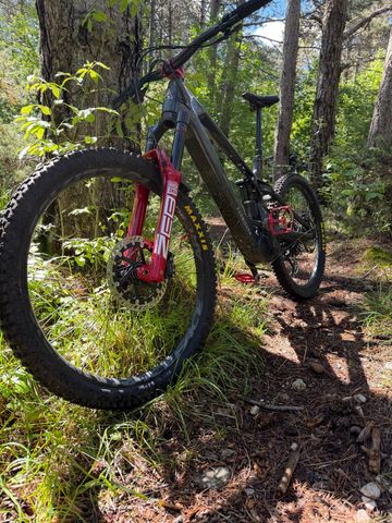 Used Forbidden Druid CorE 1 2025 2025 Mountainbike, Black, 29 — image 3 of 7