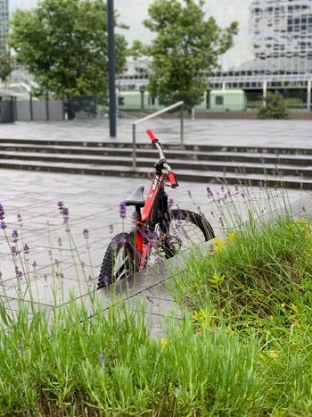 Used YT YT Custom SRAM GX DH 2016 Mountainbike — image 11 of 11