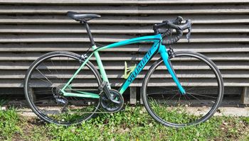 Used Specialized Amira Comp 2017 2017 Road & Gravel
