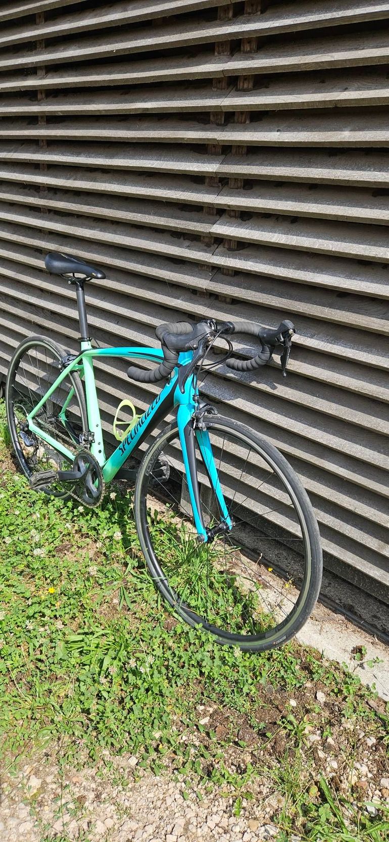 Used Specialized Amira Comp 2017 2017 Road & Gravel, Blue — image 2 of 4