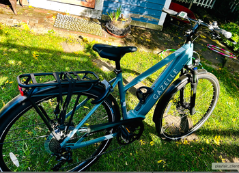 Used Gazelle Medeo T10+ Mid-Step 2025 2025 Urban, Green — image 7 of 11