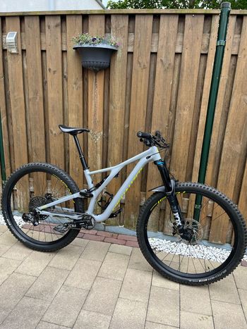 Specialized, Stumpjumper Comp Alloy 29 2020