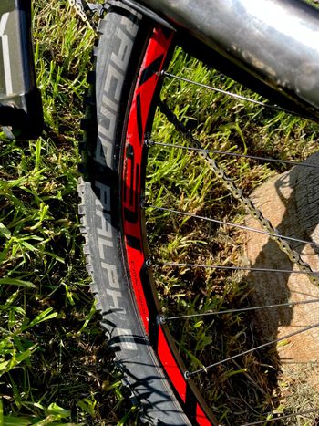 Used Specialized Epic SRAM XX1 2014 Mountainbike, Black — image 16 of 16