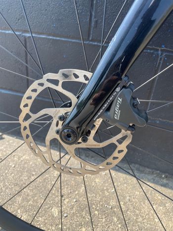 Used Specialized Roubaix 2021 2021 Road & Gravel, Black — image 4 of 14