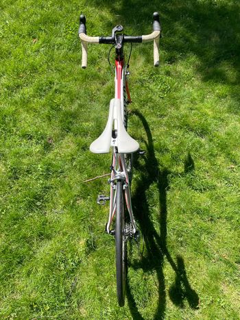 Used Specialized Tarmac Shimano Ultegra 2011 Road & Gravel, White — image 3 of 6