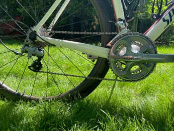 Used Specialized Tarmac Shimano Ultegra 2011 Road & Gravel, White — image 2 of 6
