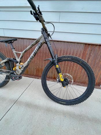 Used Specialized Demo Race 2025 2025 Mountainbike, Light Gray, 29, 27.5 — image 3 of 4