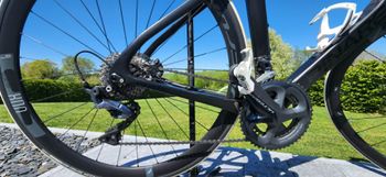 Used Pinarello Vélo Route Pinarello Paris Bob 101 H51,5 2021 Road & Gravel, Black — image 5 of 6
