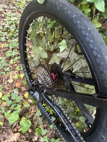 Used Cannondale Cannondale Scalpel 4000 Transformé En Gravel 2005 Road & Gravel — image 4 of 9