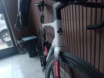 Used Colnago V5Rs Shimano Dura Ace Di2 2025 2025 Road & Gravel — image 4 of 5