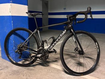 Cannondale, Synapse Carbon Disc 105 SE 2019