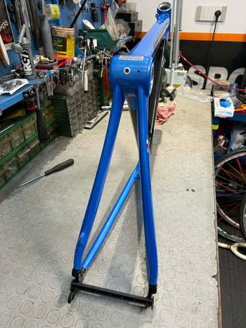Used Bianchi Bianchi DAMA BIANCA LEI. NUOVO. NOS. Frameset 2015 Road & Gravel, Blue — image 11 of 12