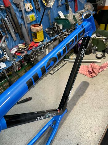 Used Bianchi Bianchi DAMA BIANCA LEI. NUOVO. NOS. Frameset 2015 Road & Gravel, Blue — image 8 of 12