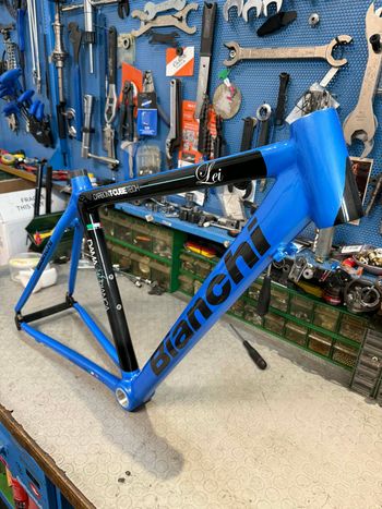Used Bianchi Bianchi DAMA BIANCA LEI. NUOVO. NOS. Frameset 2015 Road & Gravel, Blue — image 6 of 12