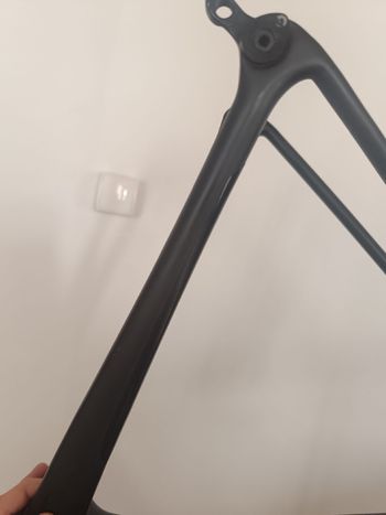 Used Giant TCR Advanced SL 0 Disc 2021 Frameset 2021 Road & Gravel, Schwarz — image 5 of 6