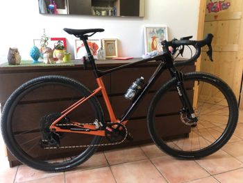 Giant, Giant Revolt X Pro 1