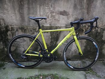 Used Peugeot R17 2020 2020 Route & Gravel