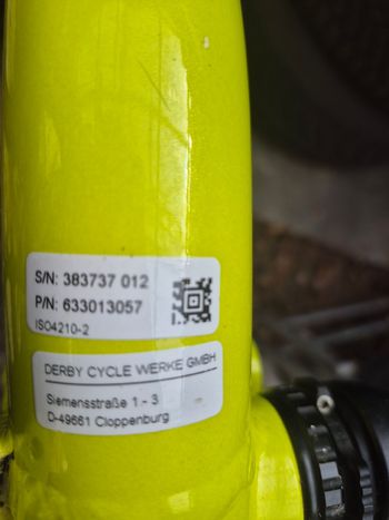 Used Focus Focus Mountainbike Frameset 2018 Mountainbike, Green — image 15 of 15