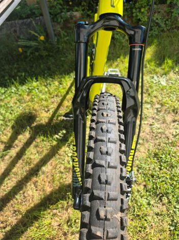 Used Focus Focus Mountainbike Frameset 2018 Mountainbike, Green — image 11 of 15