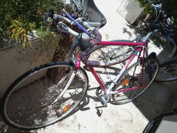 Used Peloton Peloton Custom Other 2005 Route & Gravel