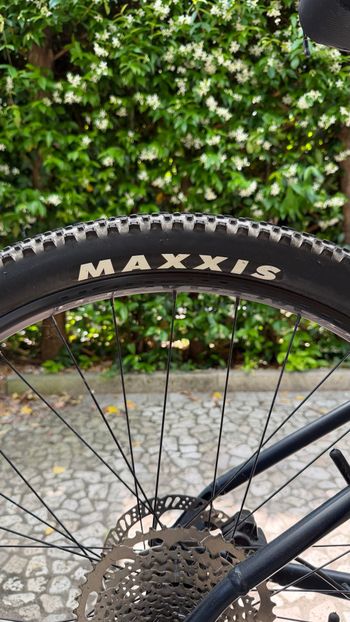 Used Trek Marlin 7 Gen 2 2023 2023 Mountainbike, Blue, 27.5, 29 — image 5 of 10