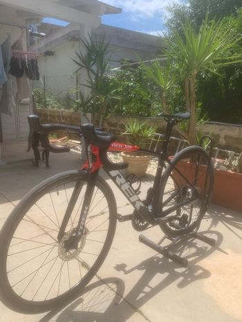 Used Trek Émonda SLR 9 2023 2023 Road & Gravel — image 9 of 10