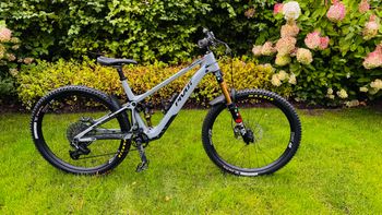 Used Pivot SHUTTLE SL Pro X0 Eagle Transmission 2024 2024 MTB