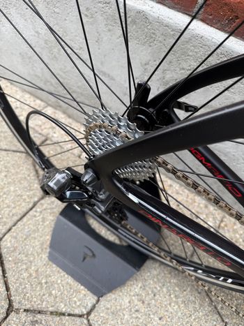 Used Pinarello Dogma Campagnolo Chorus 2024 Road & Gravel, Black — image 10 of 14