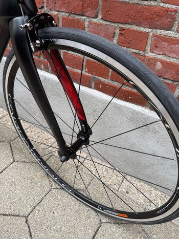 Used Pinarello Dogma Campagnolo Chorus 2024 Road & Gravel, Black — image 4 of 14