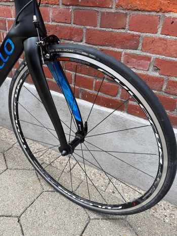 Used Pinarello Dogma Campagnolo Chorus 2024 Road & Gravel, Black — image 4 of 14