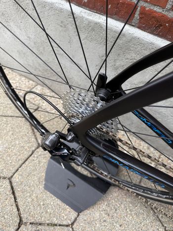 Used Pinarello Dogma Campagnolo Chorus 2024 Road & Gravel, Black — image 10 of 14