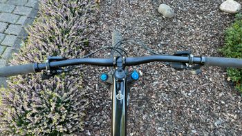Used Specialized Men's Stumpjumper Comp Carbon 29 2019 2019 Mountainbike — image 10 of 12