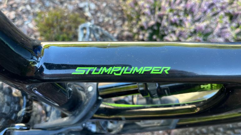 Used Specialized Men's Stumpjumper Comp Carbon 29 2019 2019 Mountainbike — image 2 of 12