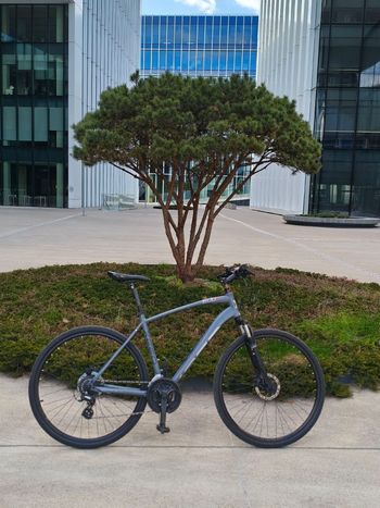 Used Xeed Xeed Custom Shimano Altus 2021 Urban & Touring