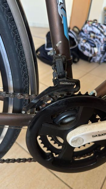 Used Bottecchia Bottecchia Custom Shimano Tourney 2015 Urban, Orange — image 4 of 14