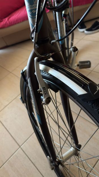 Used Bottecchia Bottecchia Custom Shimano Tourney 2015 Urban, Orange — image 8 of 14