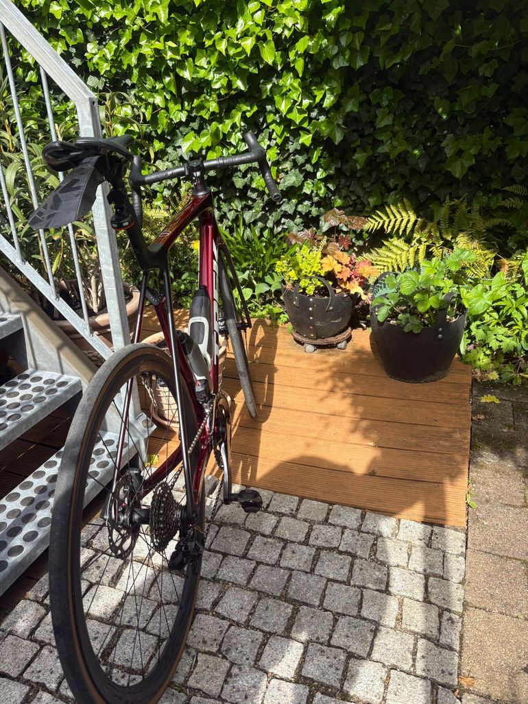 Used Trek Madone SL 6 Gen 8 2025 2025 Road & Gravel, Red — image 9 of 9
